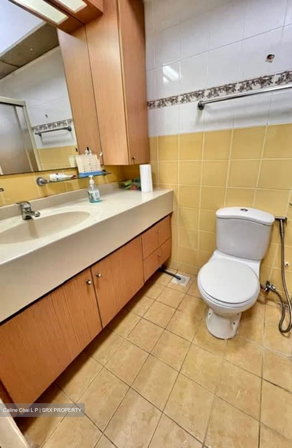 Blk 388 Goodview Gardens (Bukit Batok), HDB 5 Rooms #555851911